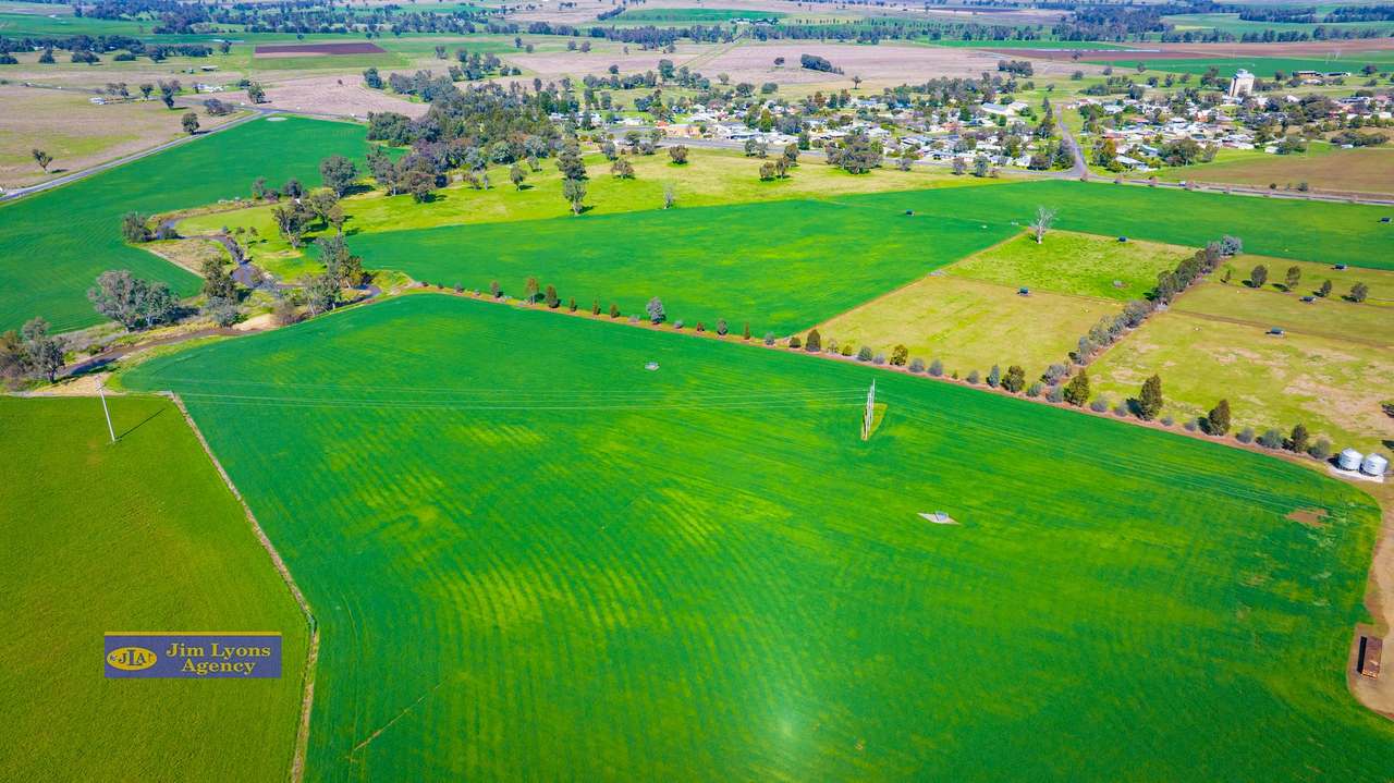 2226 Manilla Road, Tamworth For Sale by Farmbuy.com - image 6