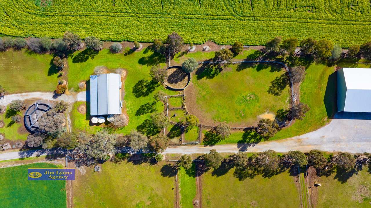 2226 Manilla Road, Tamworth For Sale by Farmbuy.com - image 29