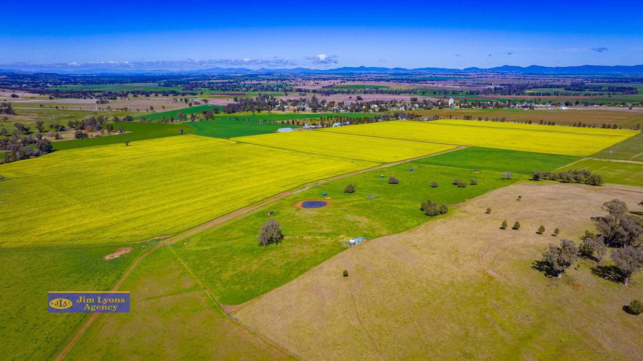 2226 Manilla Road, Tamworth For Sale by Farmbuy.com - image 3