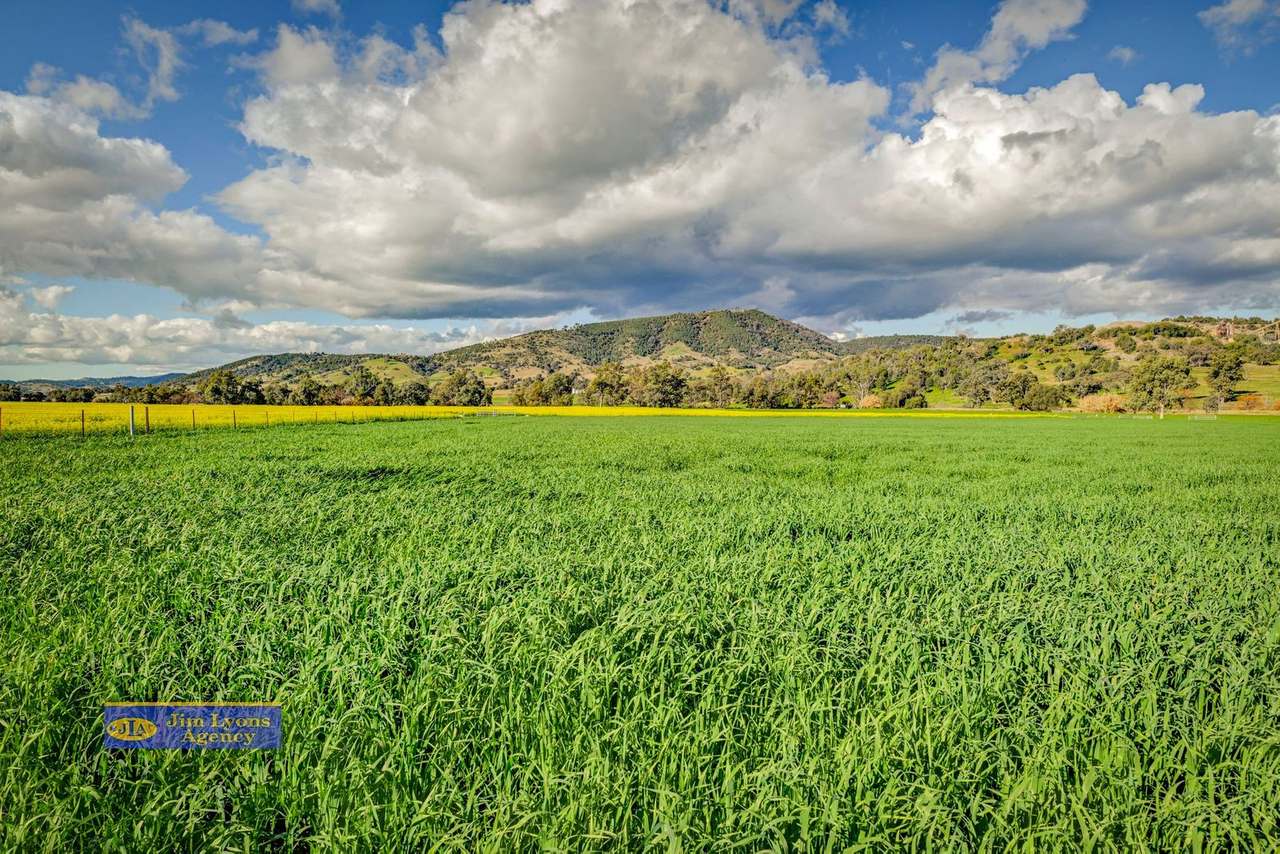2226 Manilla Road, Tamworth For Sale by Farmbuy.com - image 55
