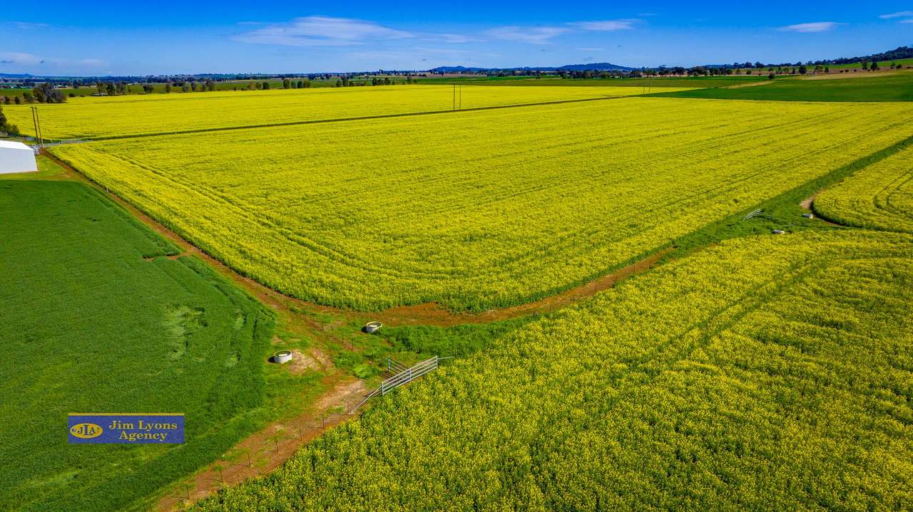 2226 Manilla Road, Tamworth For Sale by Farmbuy.com - image 26