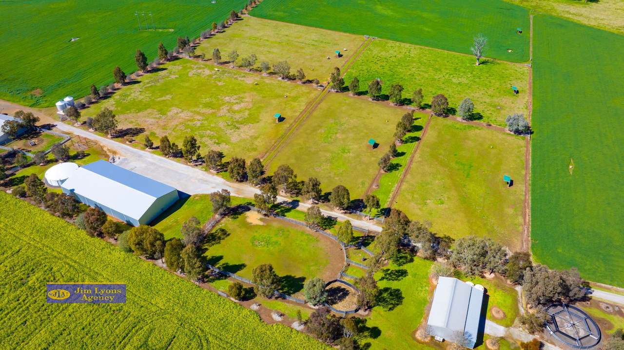 2226 Manilla Road, Tamworth For Sale by Farmbuy.com - image 58