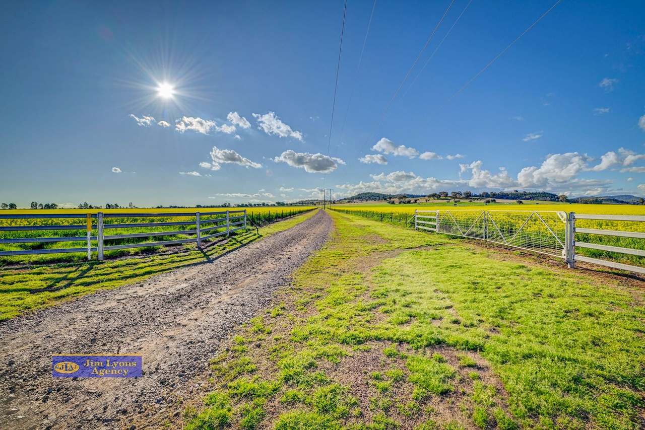 2226 Manilla Road, Tamworth For Sale by Farmbuy.com - image 49