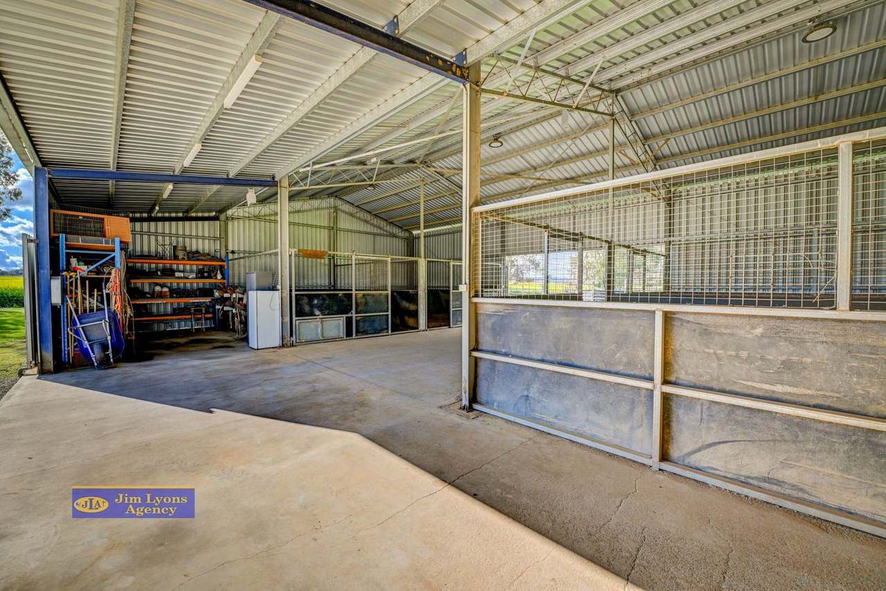 2226 Manilla Road, Tamworth For Sale by Farmbuy.com - image 42