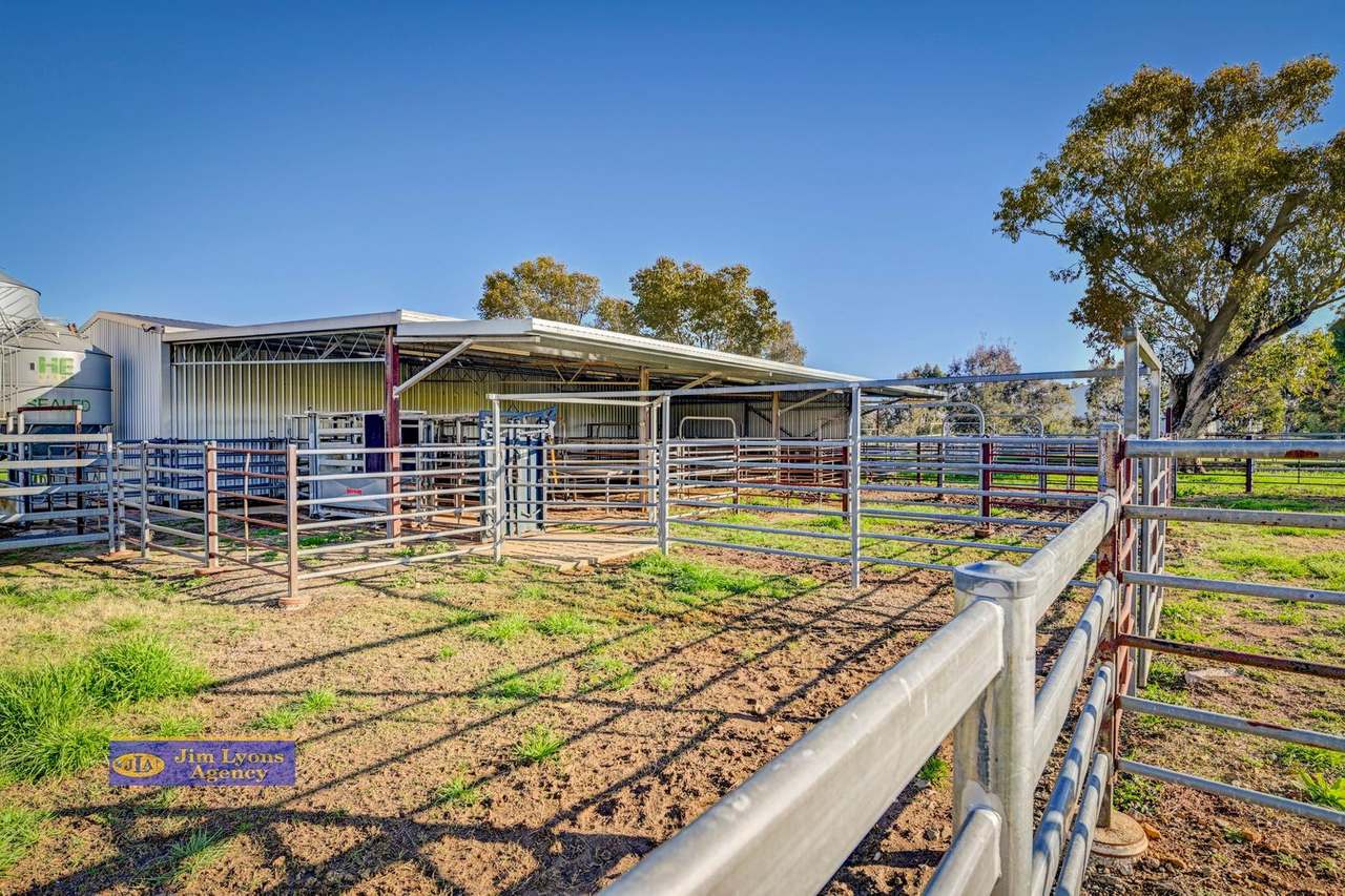 2226 Manilla Road, Tamworth For Sale by Farmbuy.com - image 40