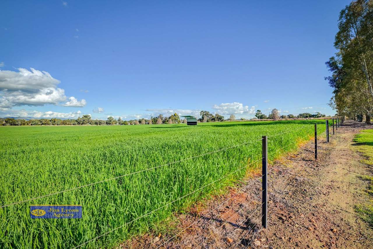 2226 Manilla Road, Tamworth For Sale by Farmbuy.com - image 44