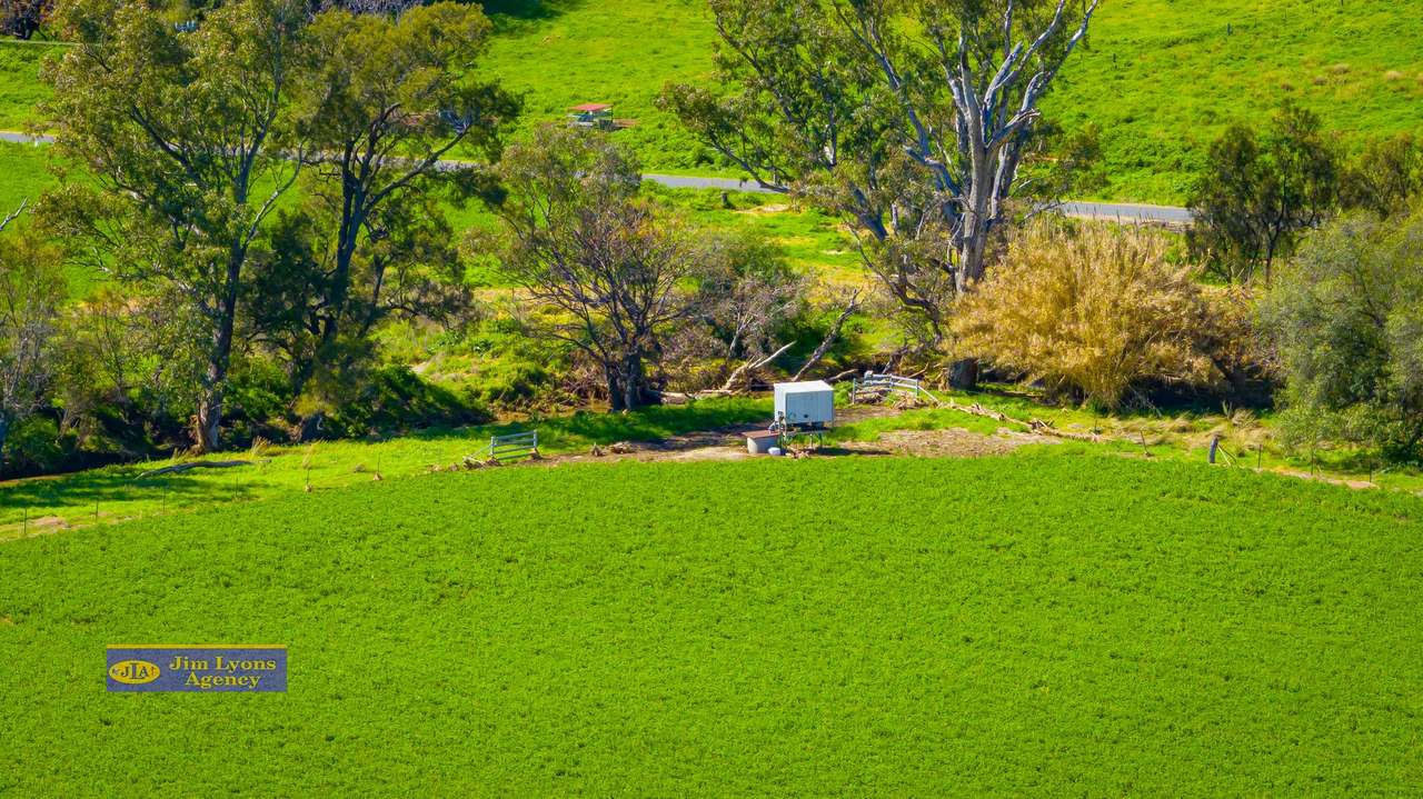 2226 Manilla Road, Tamworth For Sale by Farmbuy.com - image 39