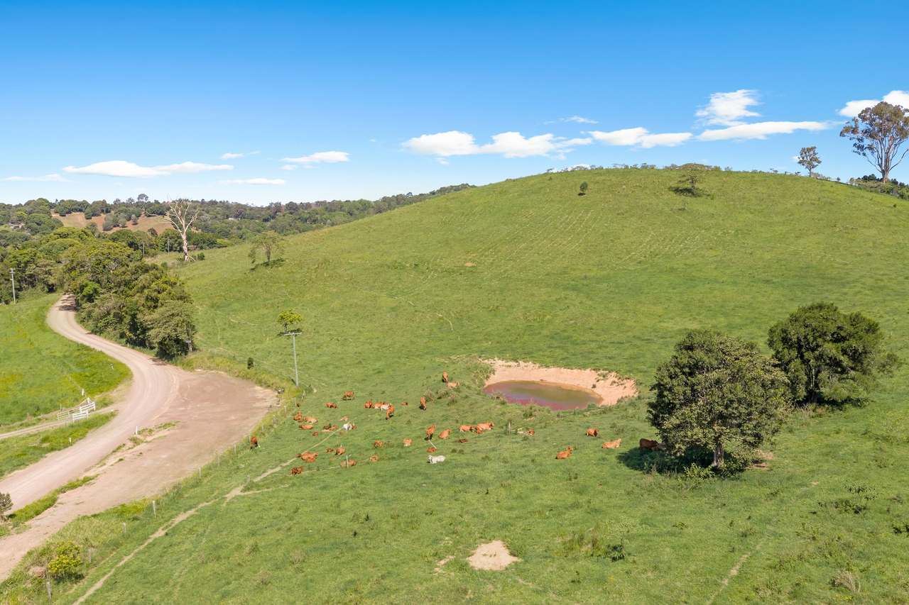 59 Upper Pinbarren Creek Road, Pinbarren For Sale by Farmbuy.com - image 7