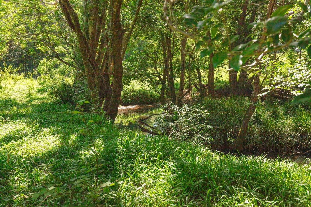 59 Upper Pinbarren Creek Road, Pinbarren For Sale by Farmbuy.com - image 26