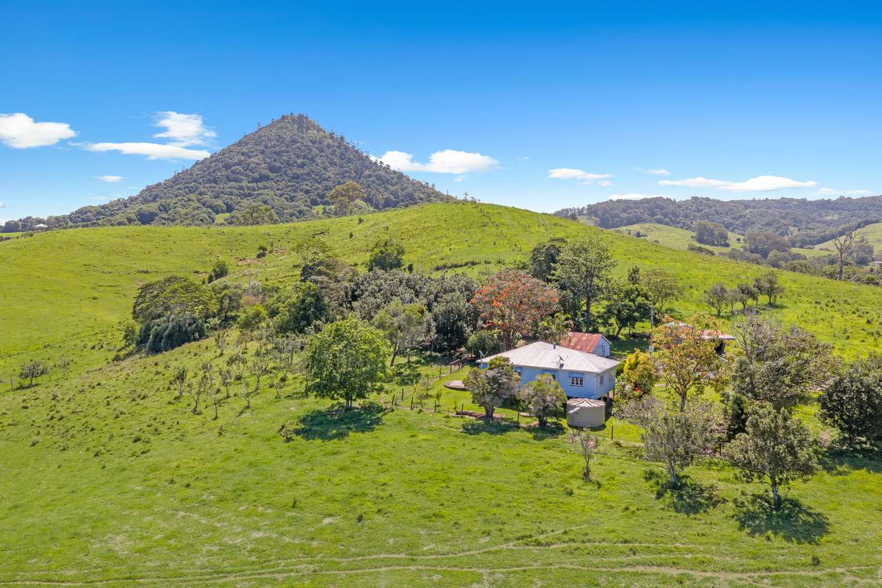 59 Upper Pinbarren Creek Road, Pinbarren For Sale by Farmbuy.com - image 23