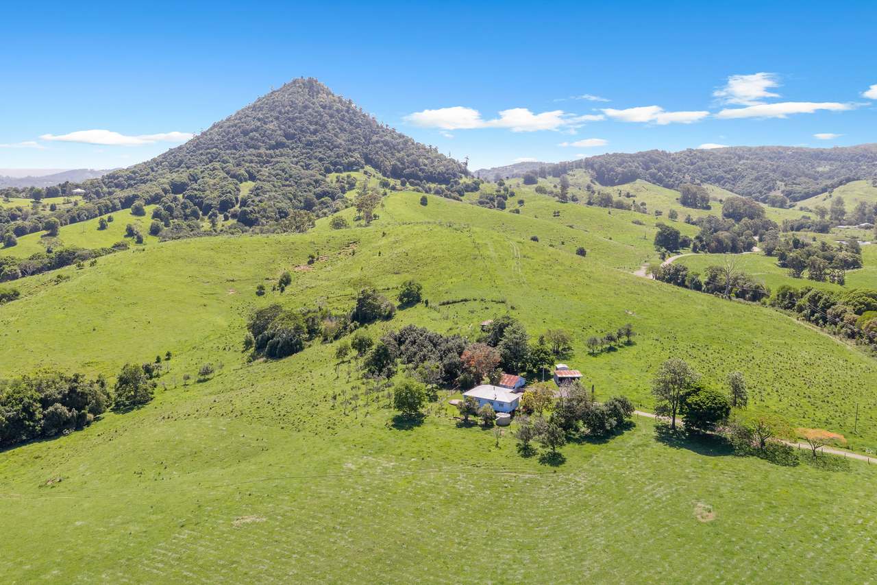 59 Upper Pinbarren Creek Road, Pinbarren For Sale by Farmbuy.com - image 4