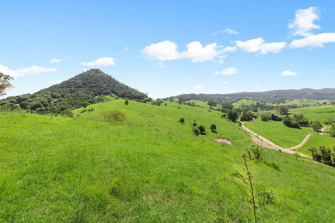 59 Upper Pinbarren Creek Road, Pinbarren For Sale by Farmbuy.com - image 5