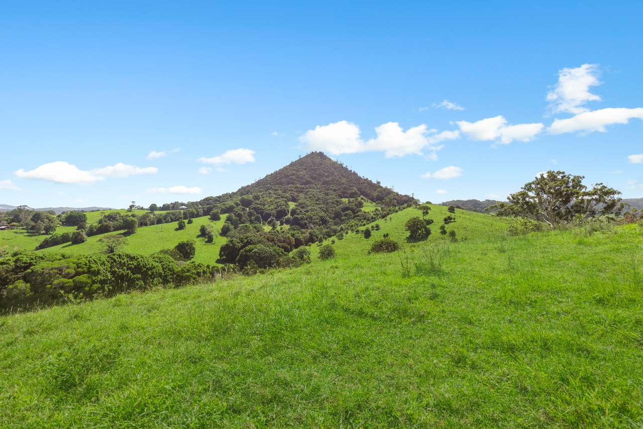 59 Upper Pinbarren Creek Road, Pinbarren For Sale by Farmbuy.com - image 27