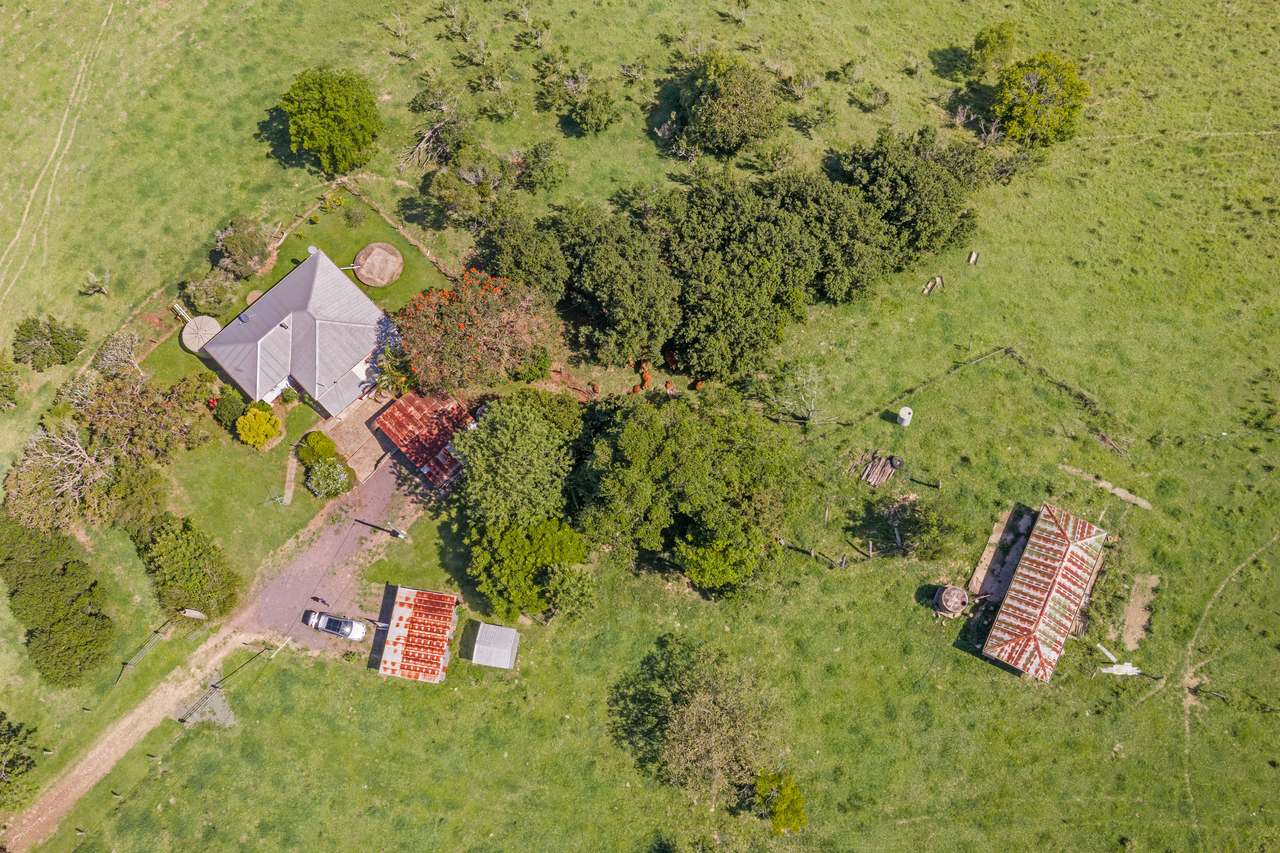 59 Upper Pinbarren Creek Road, Pinbarren For Sale by Farmbuy.com - image 10