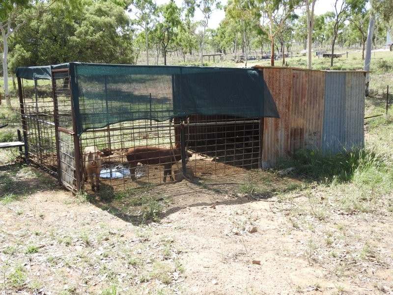 27 Beechcraft Court, Breddan For Sale by Farmbuy.com - image 23