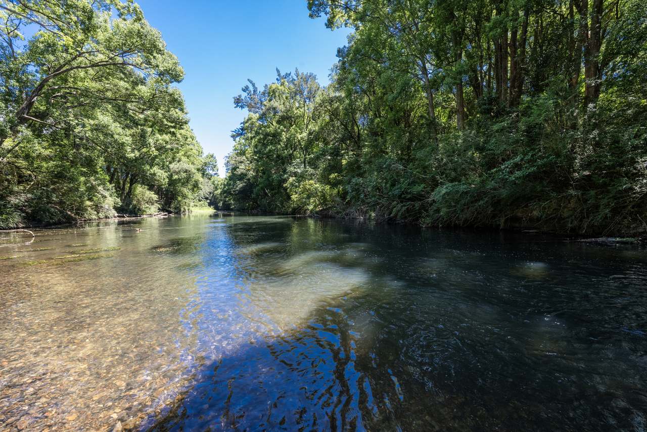 60 Duncans Bridge Road, Coramba   For Sale by Farmbuy.com - image 3