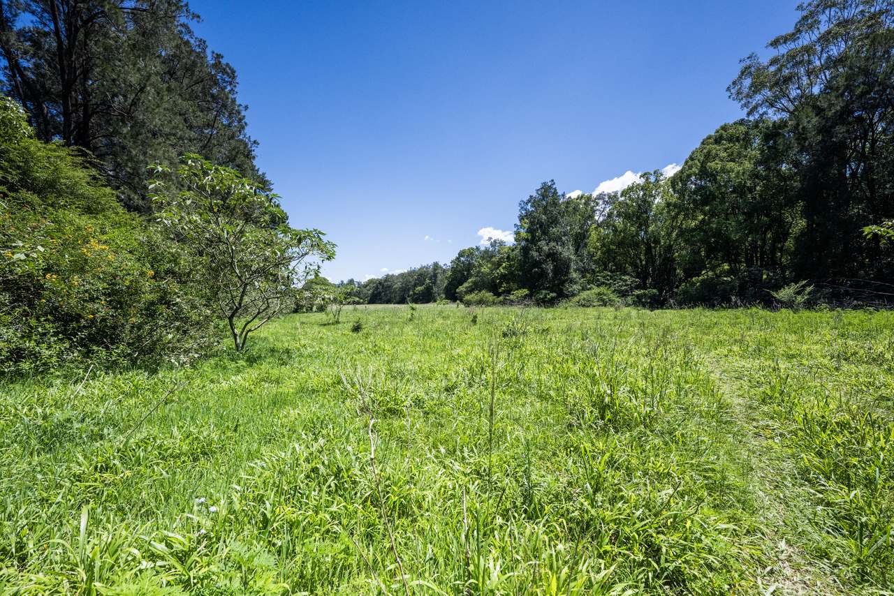 60 Duncans Bridge Road, Coramba   For Sale by Farmbuy.com - image 20