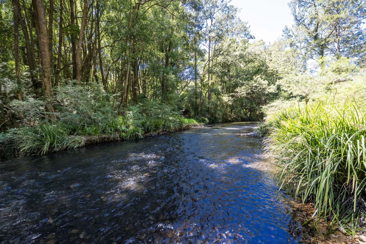 60 Duncans Bridge Road, Coramba   For Sale by Farmbuy.com - image 2