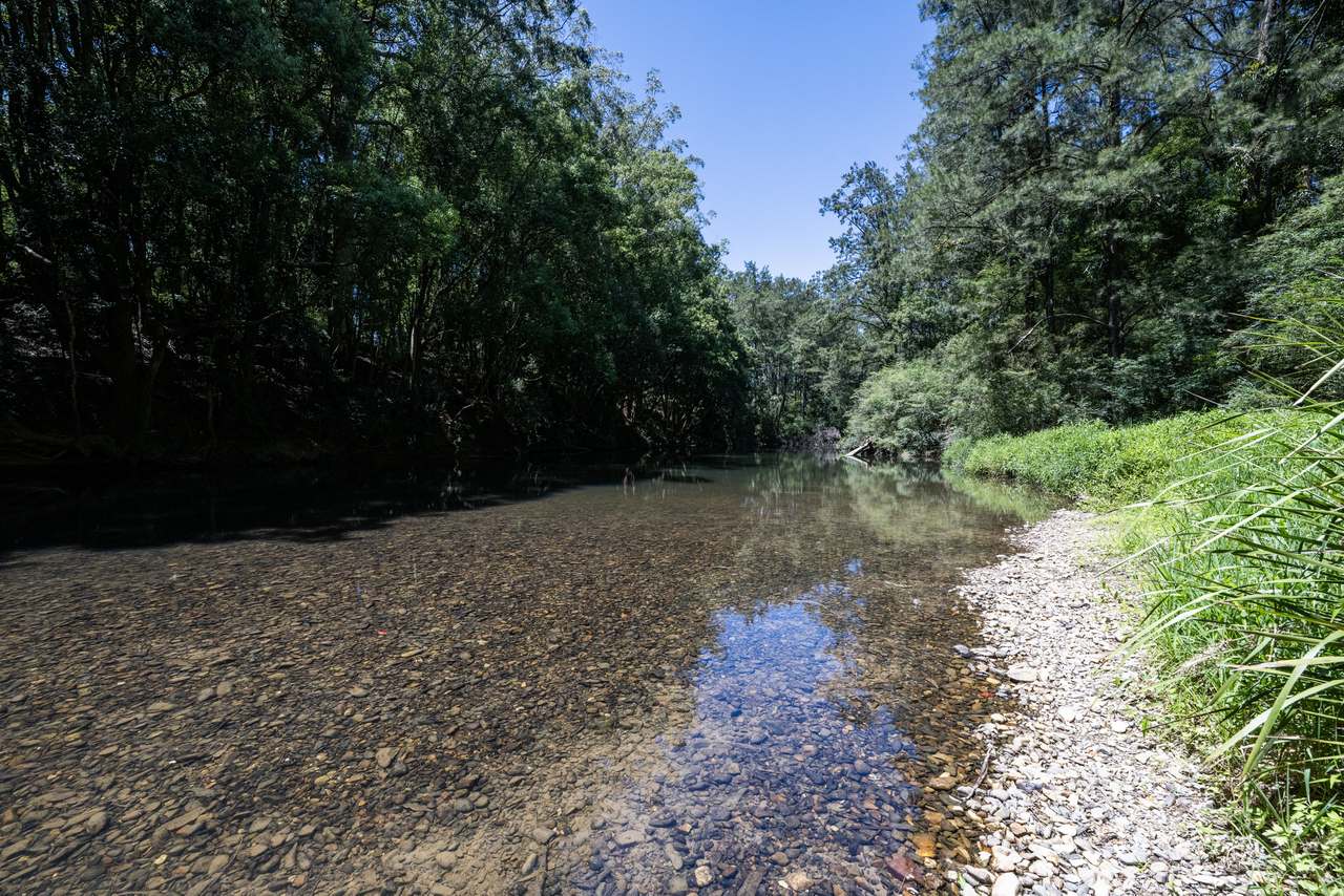 60 Duncans Bridge Road, Coramba   For Sale by Farmbuy.com - image 4