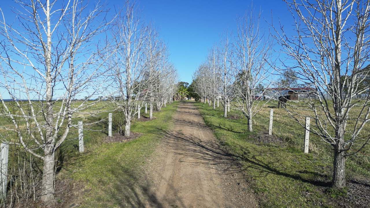 342 Mantons Road, Lawrence For Sale by Farmbuy.com - image 16