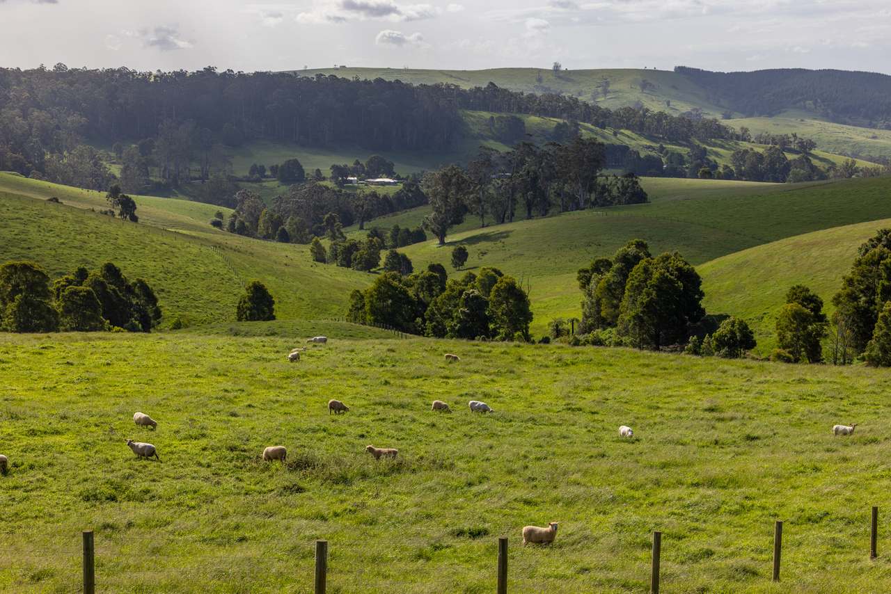 520 Foster Road, Boolarra South For Sale by Farmbuy.com - image 15