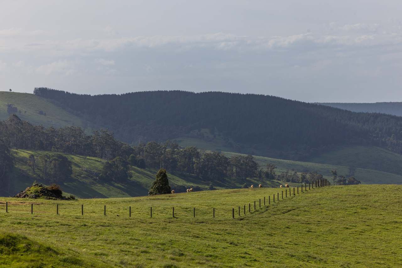 520 Foster Road, Boolarra South For Sale by Farmbuy.com - image 14