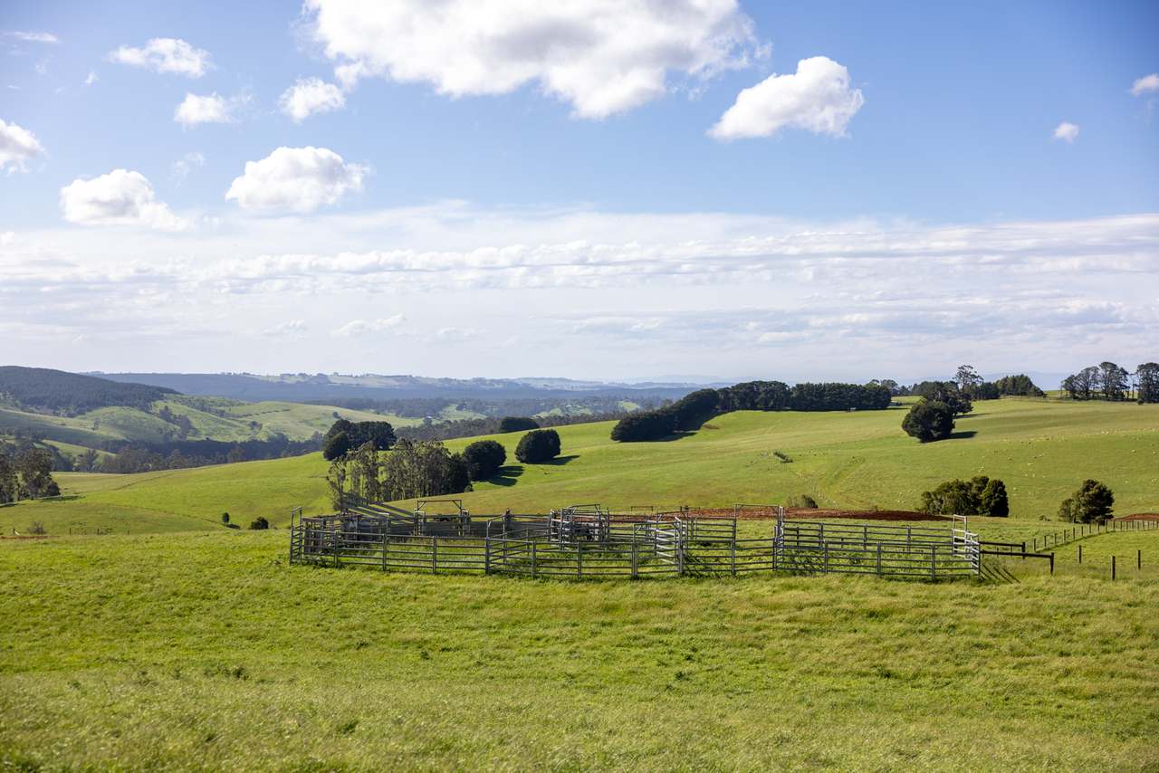 520 Foster Road, Boolarra South For Sale by Farmbuy.com - image 2