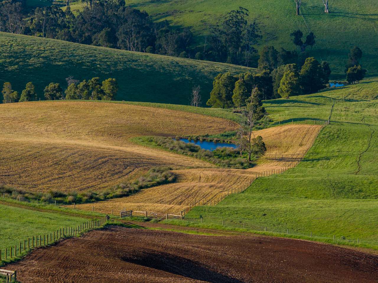 520 Foster Road, Boolarra South For Sale by Farmbuy.com - image 16