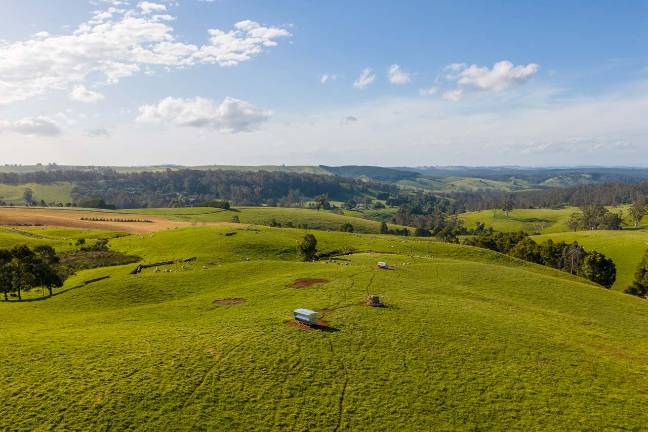 520 Foster Road, Boolarra South For Sale by Farmbuy.com - image 9