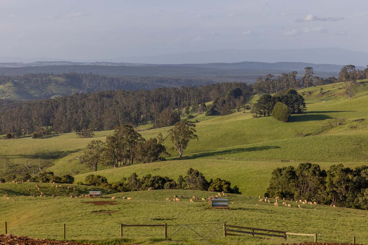 520 Foster Road, Boolarra South For Sale by Farmbuy.com - image 10