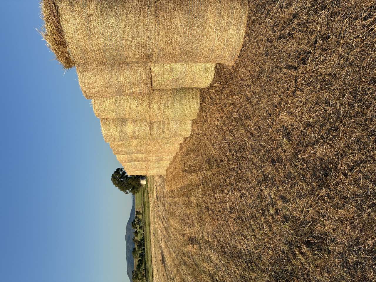 877 Ascot Calala Rd, TAMWORTH For Sale by Farmbuy.com - image 17