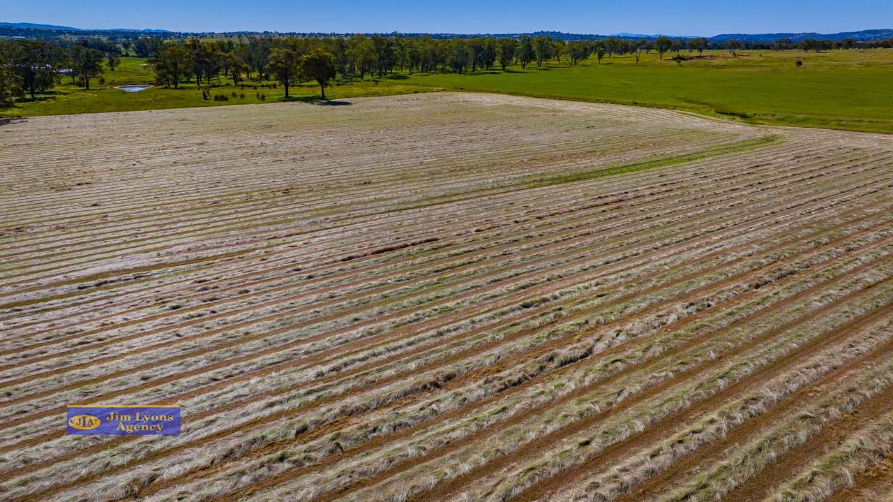 877 Ascot Calala Rd, TAMWORTH For Sale by Farmbuy.com - image 19