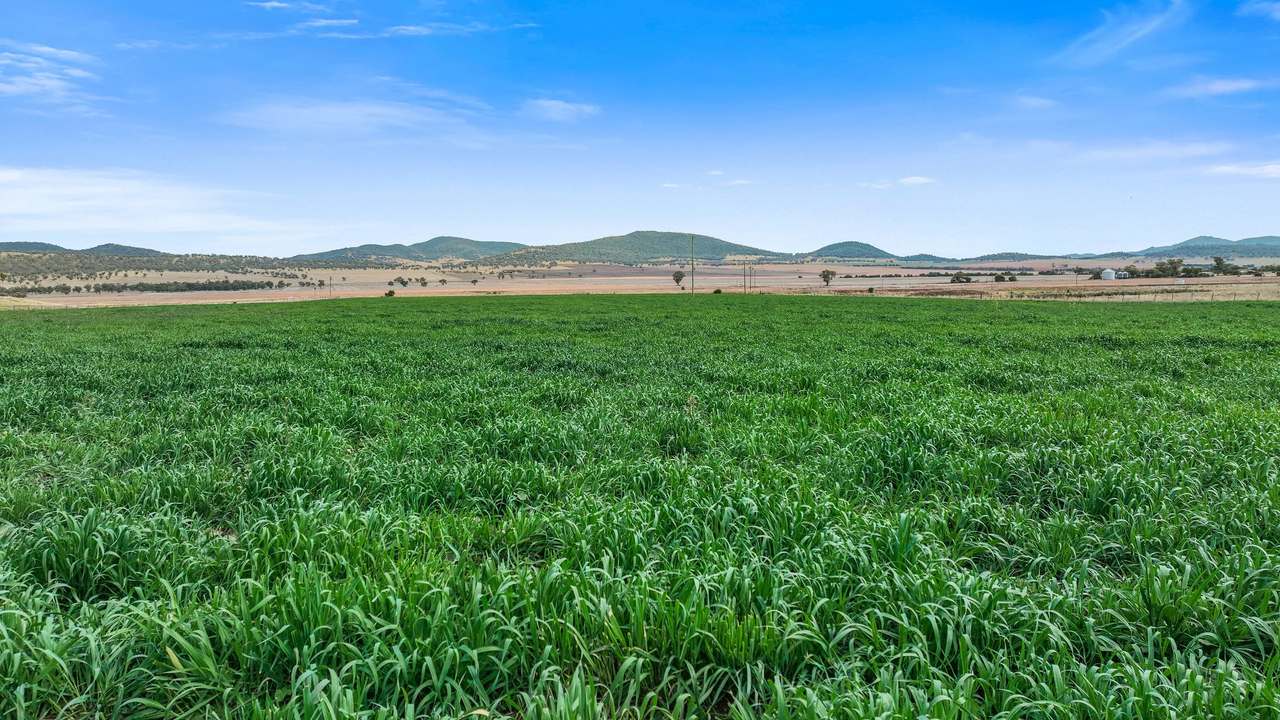 22 Jones Road, Werris Creek For Sale by Farmbuy.com - image 11