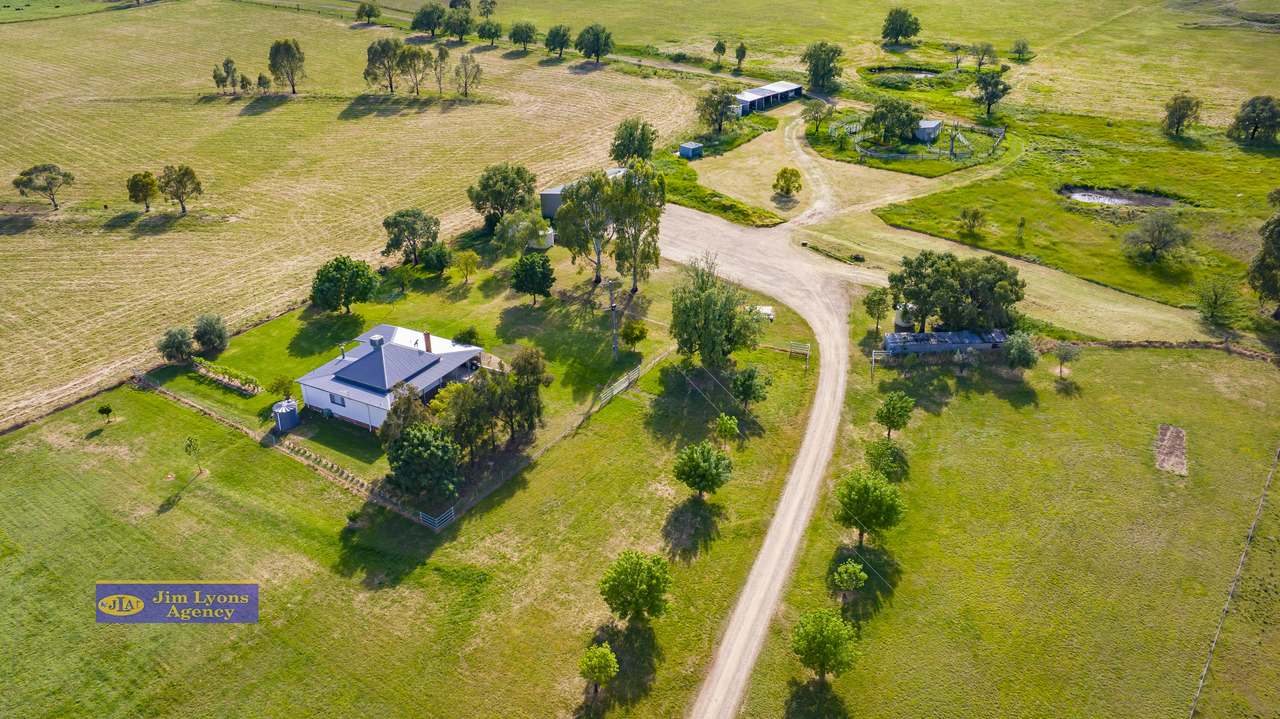 151 Deeks Road, Werris Creek For Sale by Farmbuy.com - image 16