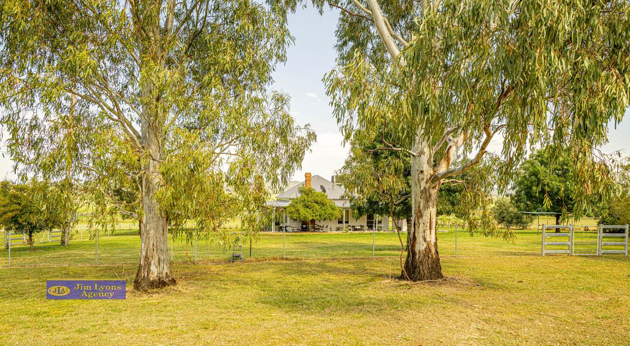 151 Deeks Road, Werris Creek For Sale by Farmbuy.com - image 1