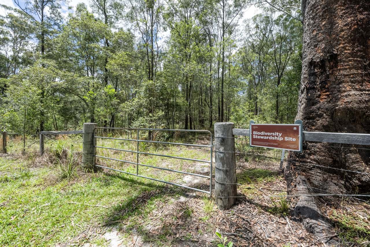 1097 Wooli Road, Pillar Valley  For Sale by Farmbuy.com - image 16