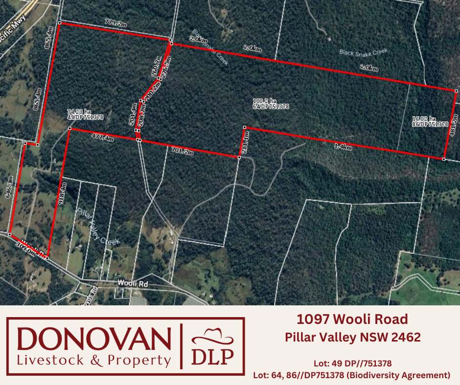 1097 Wooli Road, Pillar Valley  For Sale by Farmbuy.com - image 19