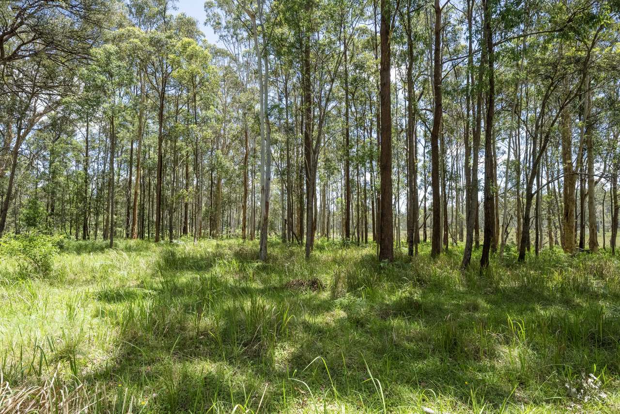 1097 Wooli Road, Pillar Valley  For Sale by Farmbuy.com - image 15