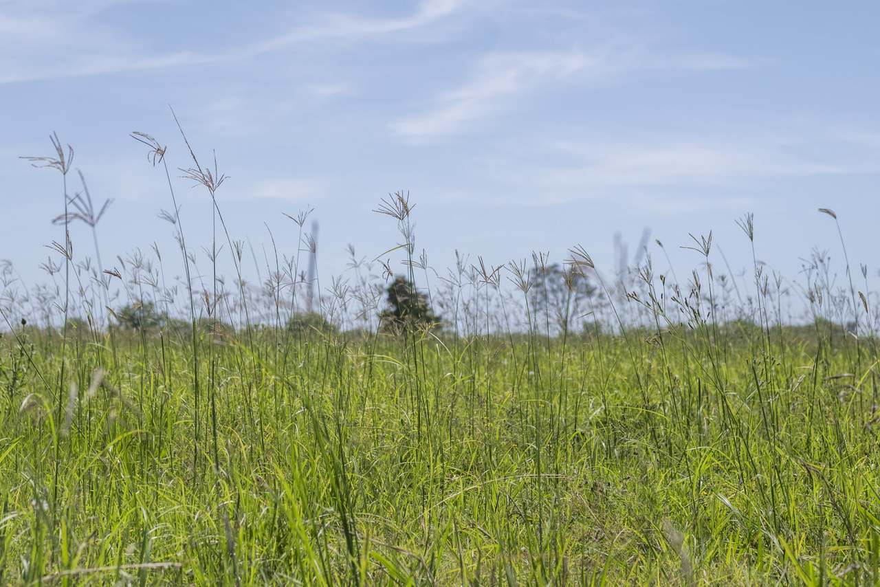 467 Great Marlow Road, Great Marlow For Sale by Farmbuy.com - image 18