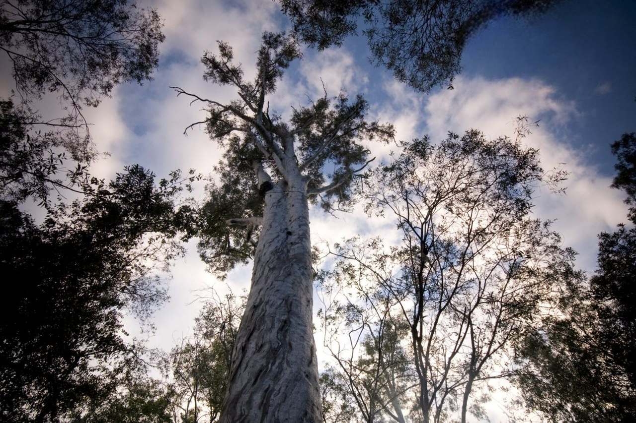 Lot Stage 8, Park Avenue, North Isis For Sale by Farmbuy.com - image 10