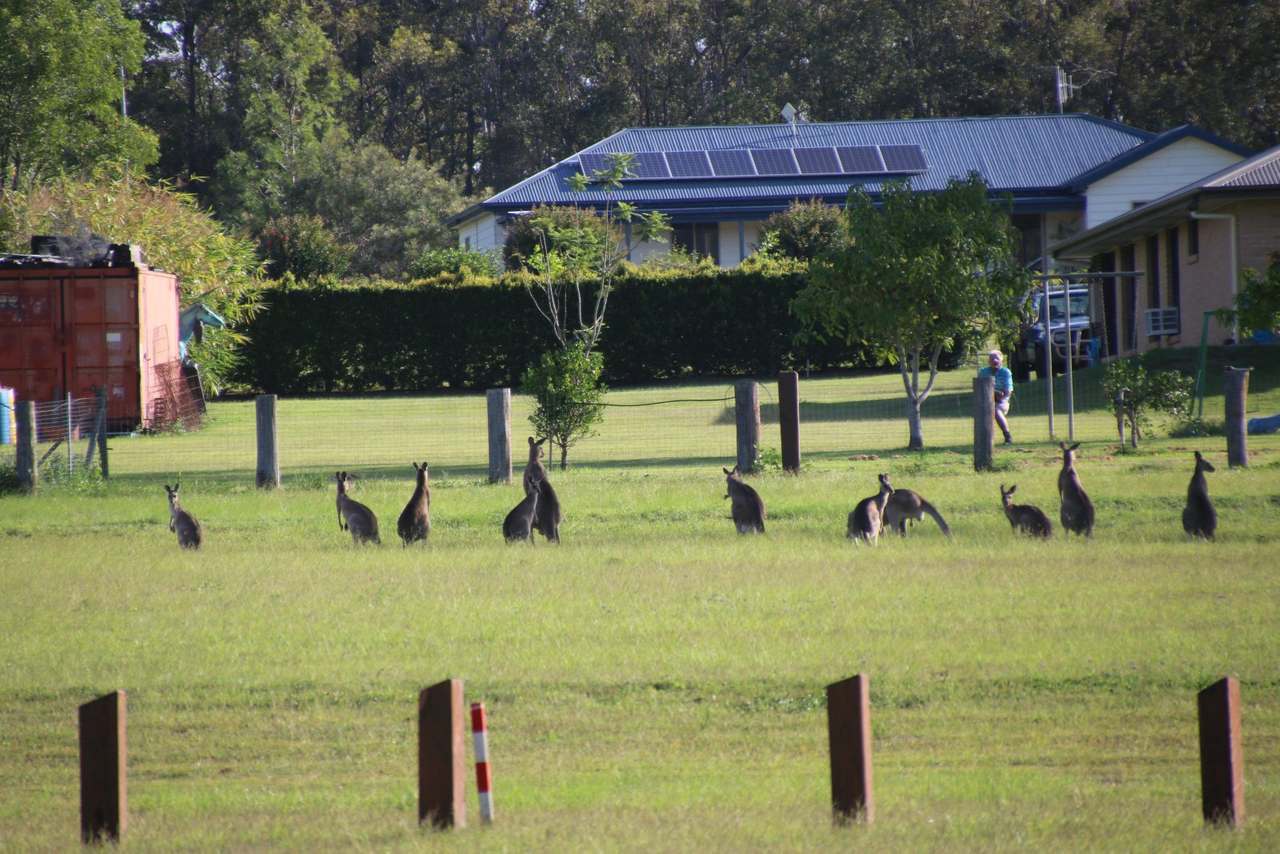 Lot Stage 8, Park Avenue, North Isis For Sale by Farmbuy.com - image 12