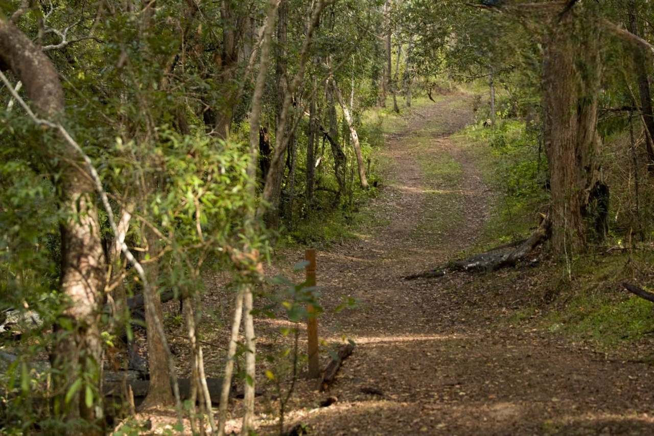 Lot Stage 8, Park Avenue, North Isis For Sale by Farmbuy.com - image 31