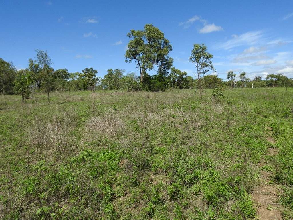 Breddan For Sale by Farmbuy.com - image 23