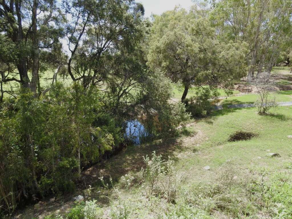 Breddan For Sale by Farmbuy.com - image 36