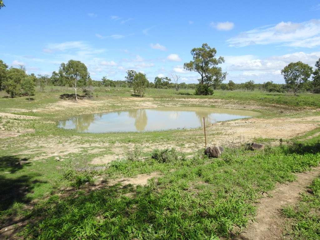 Breddan For Sale by Farmbuy.com - image 20