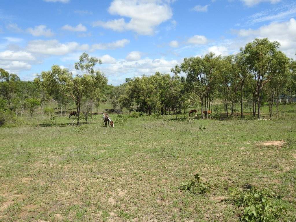 Breddan For Sale by Farmbuy.com - image 25