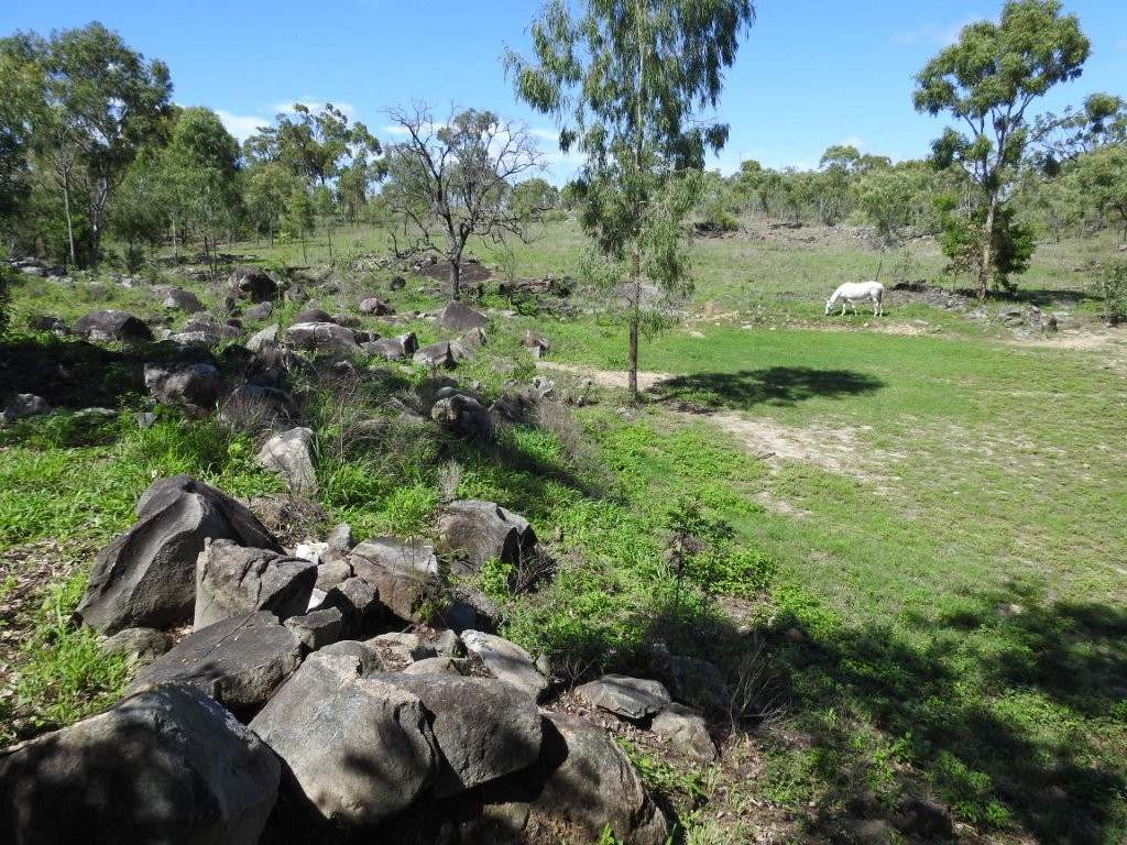 Breddan For Sale by Farmbuy.com - image 22