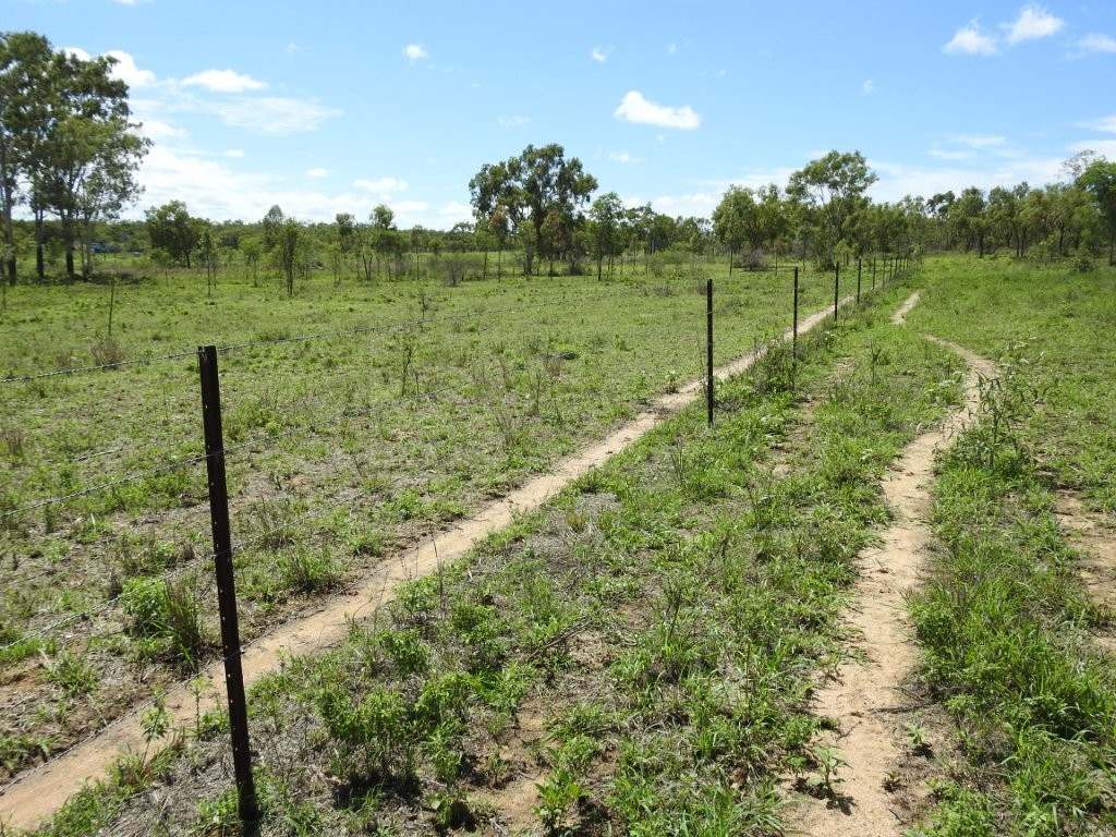 Breddan For Sale by Farmbuy.com - image 27