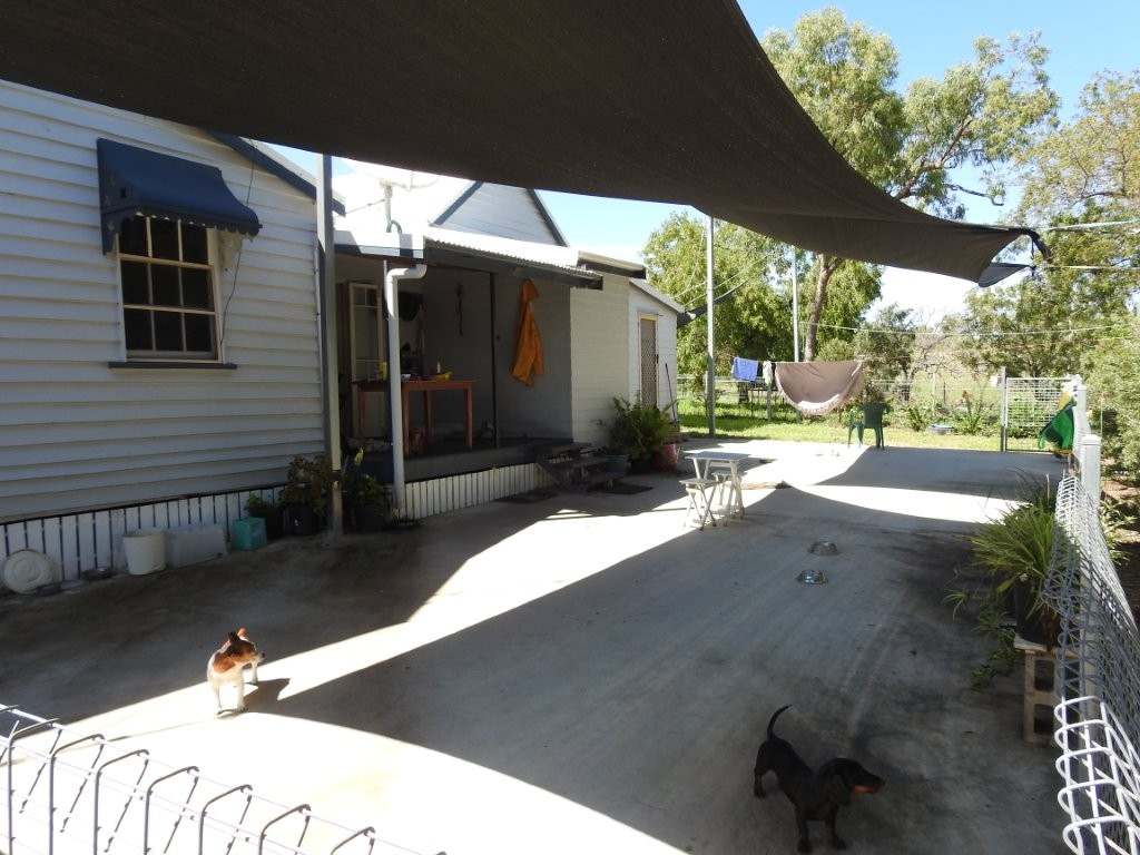 Breddan For Sale by Farmbuy.com - image 6