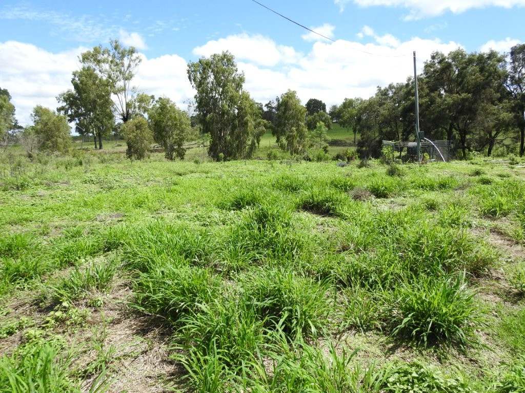 Breddan For Sale by Farmbuy.com - image 35